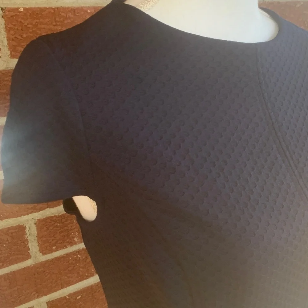 American Living navy dress